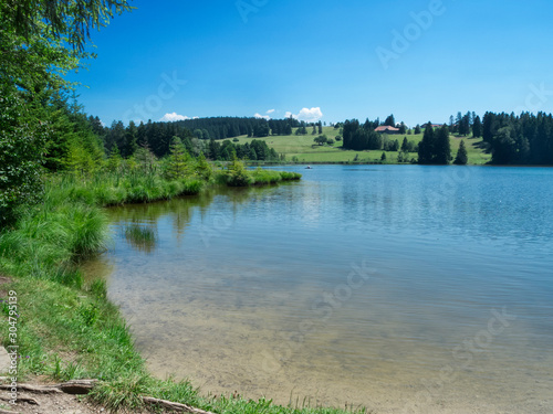 Lakescape Pond Koegel in Bavaria photo