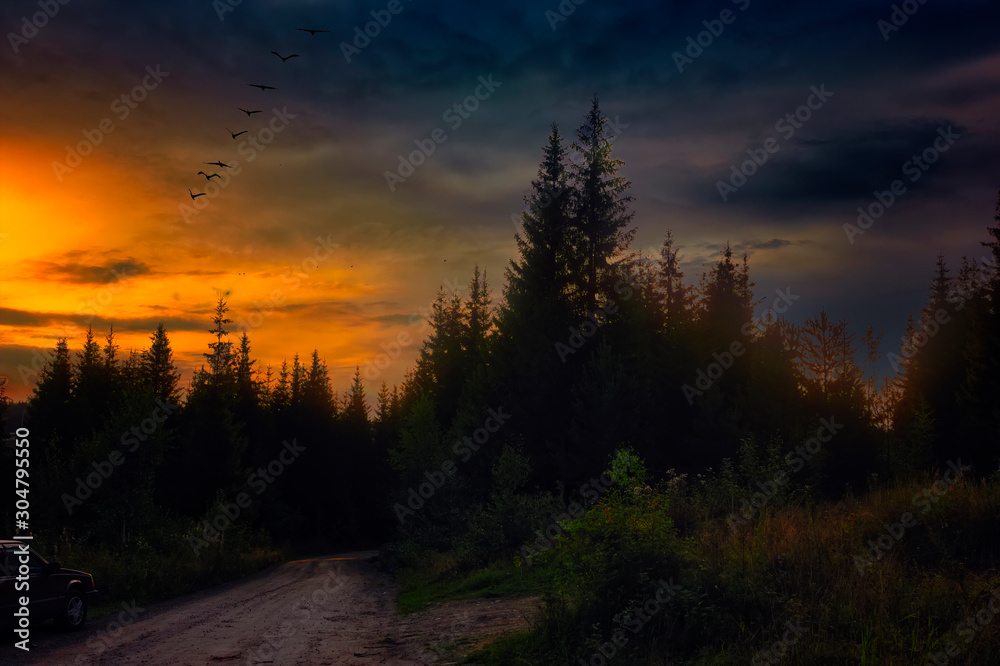 Summer landscape in the forest against the backdrop of a beautiful sunset.