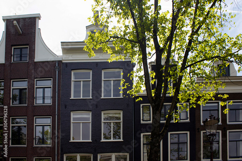 View of historical, traditional and typical buildings showing Dutch architectural style and a tree in Amsterdam. It is a sunny summer day.