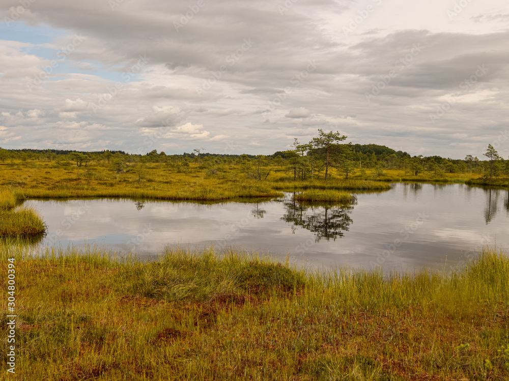 swamp lake and small islands in Madieseni swamps, Dikli, Latvia swamp lake and small islands in Madieseni swamps, Dikli, Latvia