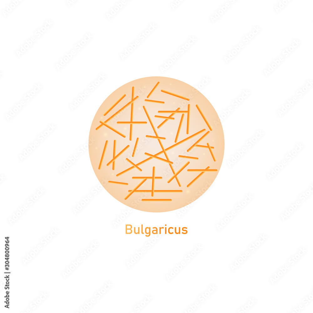 Bulgaricus lactic acid bacteria or probiotic macro vector illustration isolated. Bulgaricus lactic acid bacteria or probiotic macro vector illustration isolated.