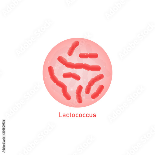 Lactococcus good bacteria or probiotic macro view vector illustration isolated.