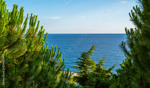 Pines trees and deep green nature at the sea coast, blue sea view in summer. Pine branch close up with beautiful blurred turquoise sea.