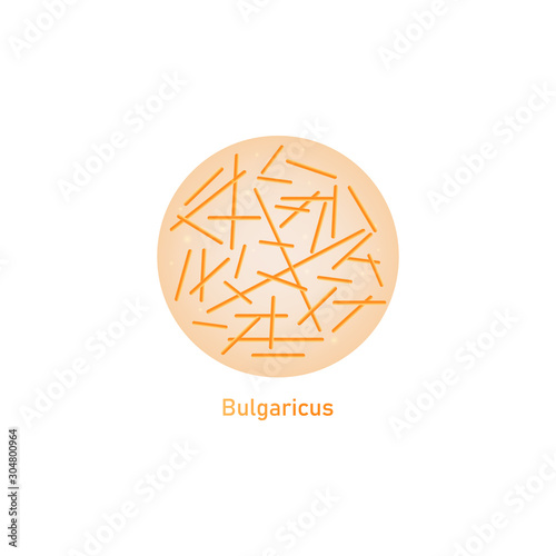 Bulgaricus lactic acid bacteria or probiotic macro vector illustration isolated.