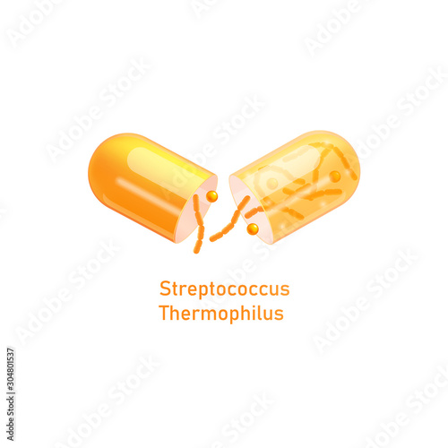 Streptococcus Thermophilus probiotic pill realistic vector illustration isolated.