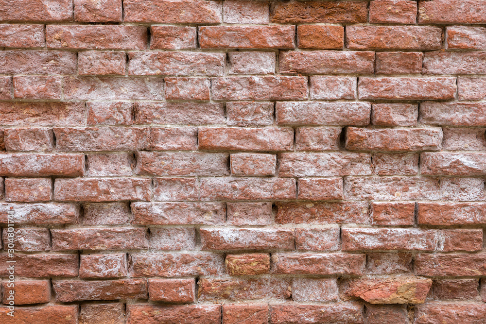 A fragment of a wall of old red brick, whitewashed with sea salt. A fragment of a wall of old red brick, whitewashed with sea salt.