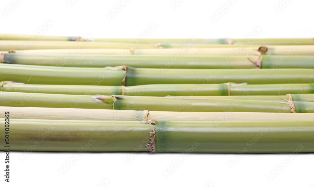 Fototapeta premium Bamboo sticks isolated on white background, side view