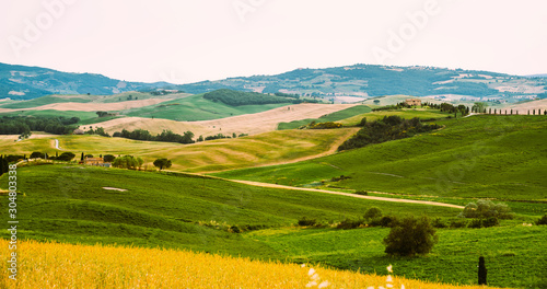 Tuscany  rural autumn landscape. Countryside farm  cypresses trees  green and gold field. Italy  Europe.