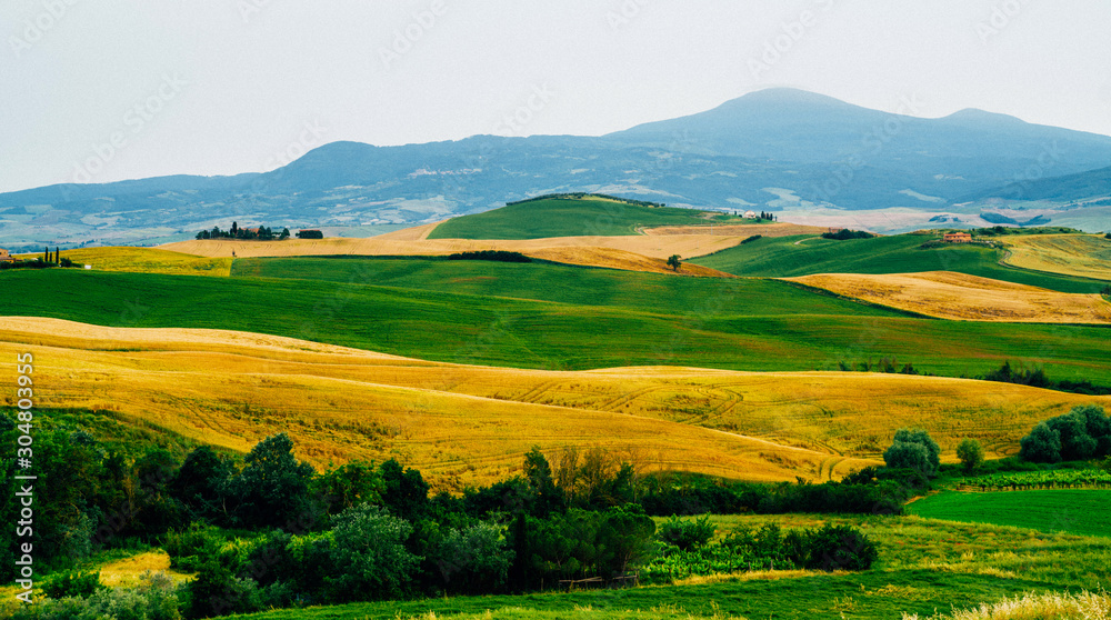Tuscany, rural autumn landscape. Countryside farm, cypresses trees, green and gold field. Italy, Europe.