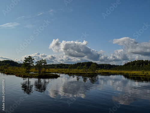 Island in the bog, golden marsh, lakes and nature environment, clear blue sky and white clouds