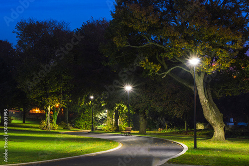 Peaceful Park in the Night with Street Lights, Trees, Green Grass and Pathway.