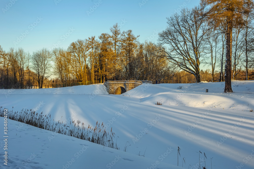 Fototapeta premium Winter Sunny day in the Park.