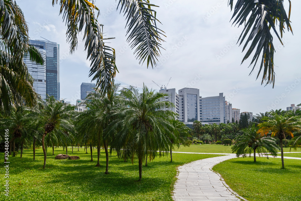 Picturesque tropical corner of the park in the center of the metropolis Picturesque tropical corner of the park in the center of the metropolis