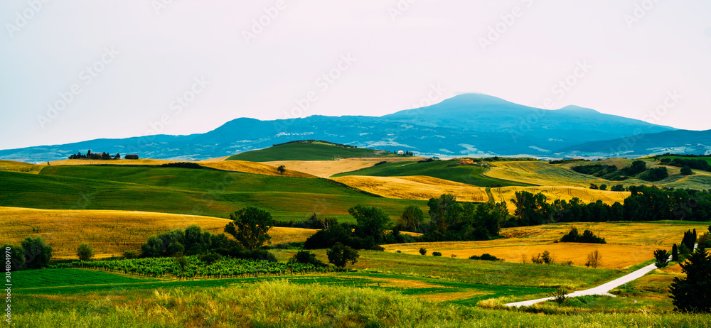 View of a autumn day in the Italian rural landscape. Unique tuscany landscape in fall time. Wave hills, cypresses trees and cloudy sky.