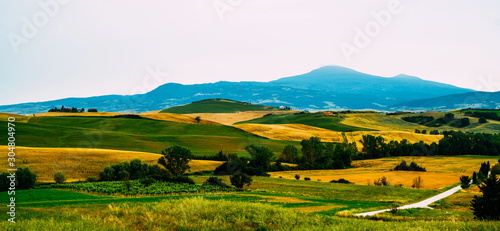 View of a autumn day in the Italian rural landscape. Unique tuscany landscape in fall time. Wave hills  cypresses trees and cloudy sky.