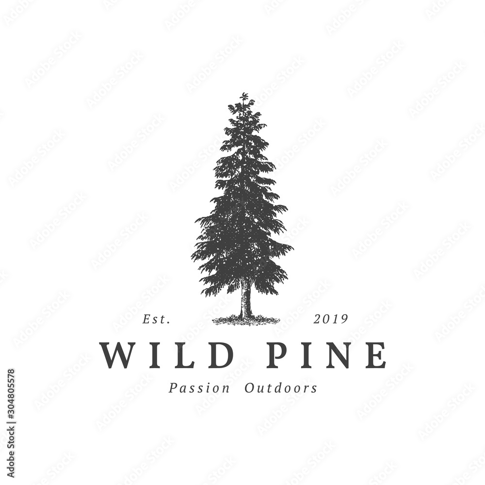 Vintage wild pine design logo vector, Evergreen logo design inspiration - vector