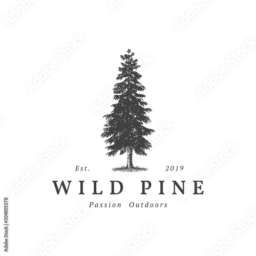 Vintage wild pine design logo vector, Evergreen logo design inspiration - vector
