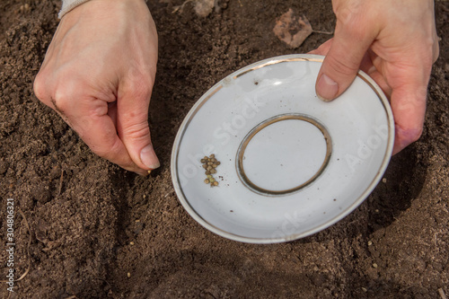 planting of seeds and garden beds