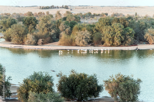 Heart Shaped Al Qudra Lake in Dubai, United Arab Emirates