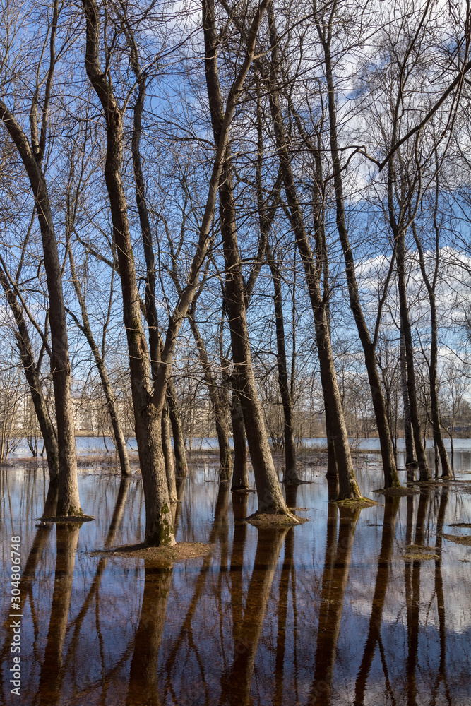 flood in the park, spring flood in the park, spring