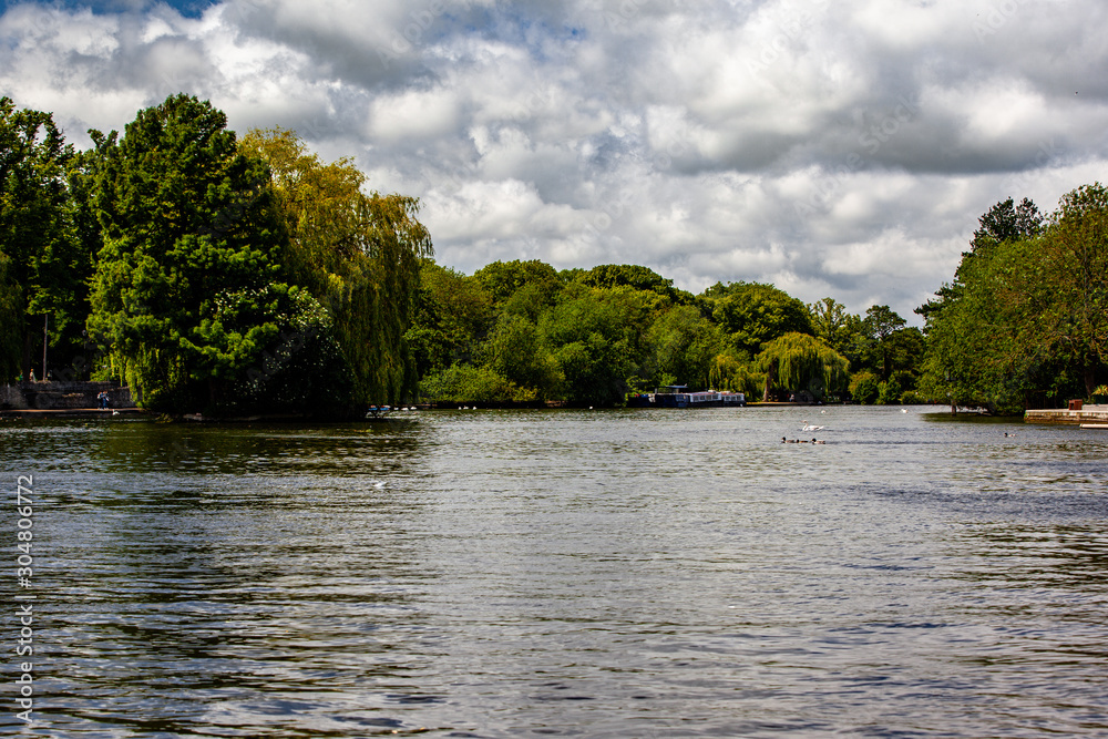Obraz premium lake in the forest