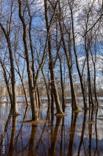 flood in the park, spring