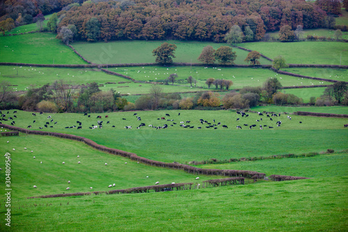 autumn landscape in myddfai wales photo