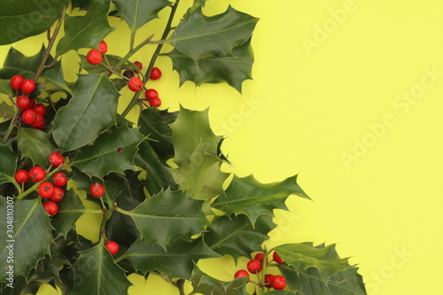 Holly and berries on yellow background, bourder photo