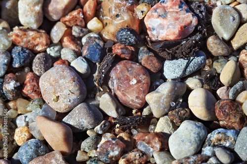 Texture of the small wet coastal sea pebbles and sand.