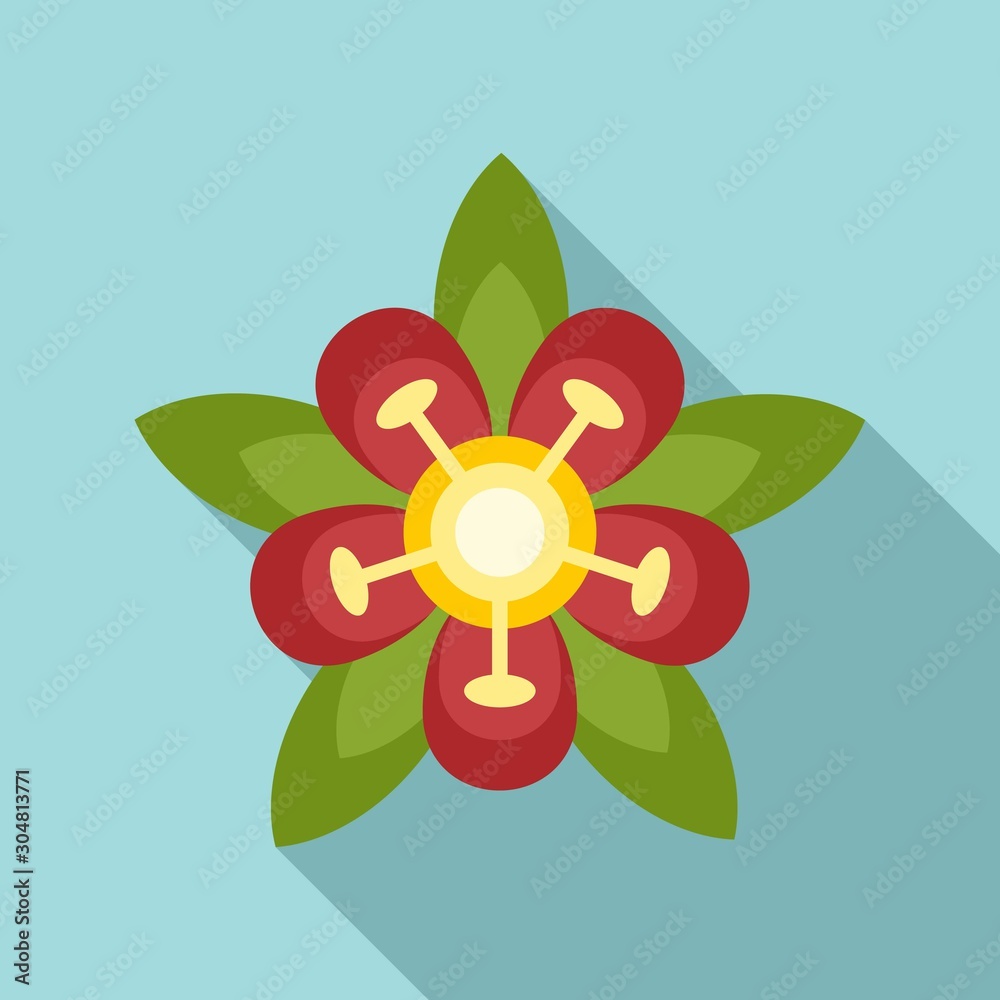 Brazil flower icon. Flat illustration of Brazil flower vector icon for web design Brazil flower icon. Flat illustration of Brazil flower vector icon for web design