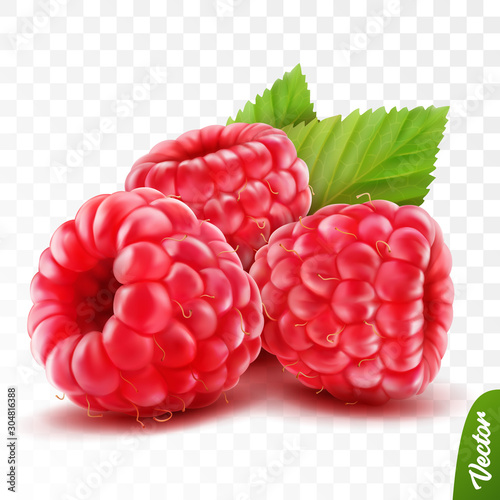 Canvas Print 3d realistic isolated vector whole and slice of raspberry with leaves, editable
