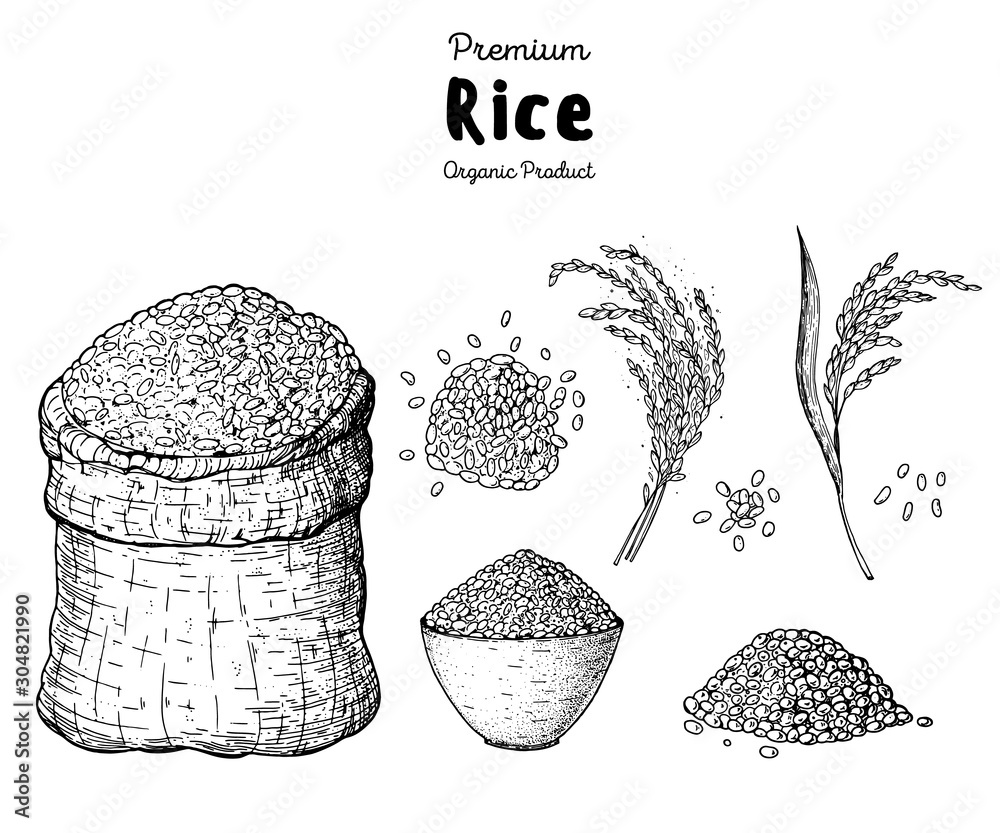 Eden Rice | Harvestella Wiki | Fandom
