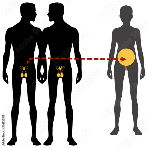 Male and females body silhouette and reproductive system. Surrogacy and in vitro fertilization, Isolated perfect image symbols on white background. Vector illustration.