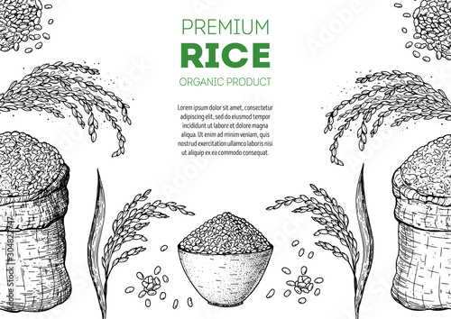 Rice hand drawn vector illustration. Bag of rice sketch. Packaging design