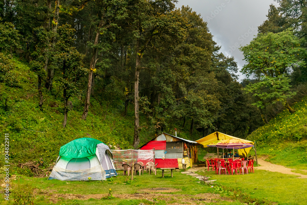 camping tents in the forest, Jalori  Pass, Tirthan Valley, Himachal Pradesh, India