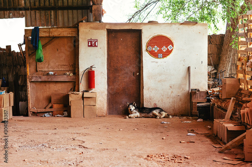 Dog lying in front of tile workshop