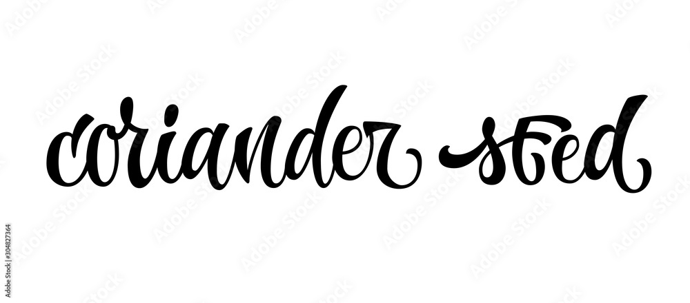 Hand drawn spice label - Coriander seed. Vector lettering design element. Isolated calligraphy script style word for labels, shop design, cafe decore etc Hand drawn spice label - Coriander seed. Vector lettering design element. Isolated calligraphy script style word for labels, shop design, cafe decore etc