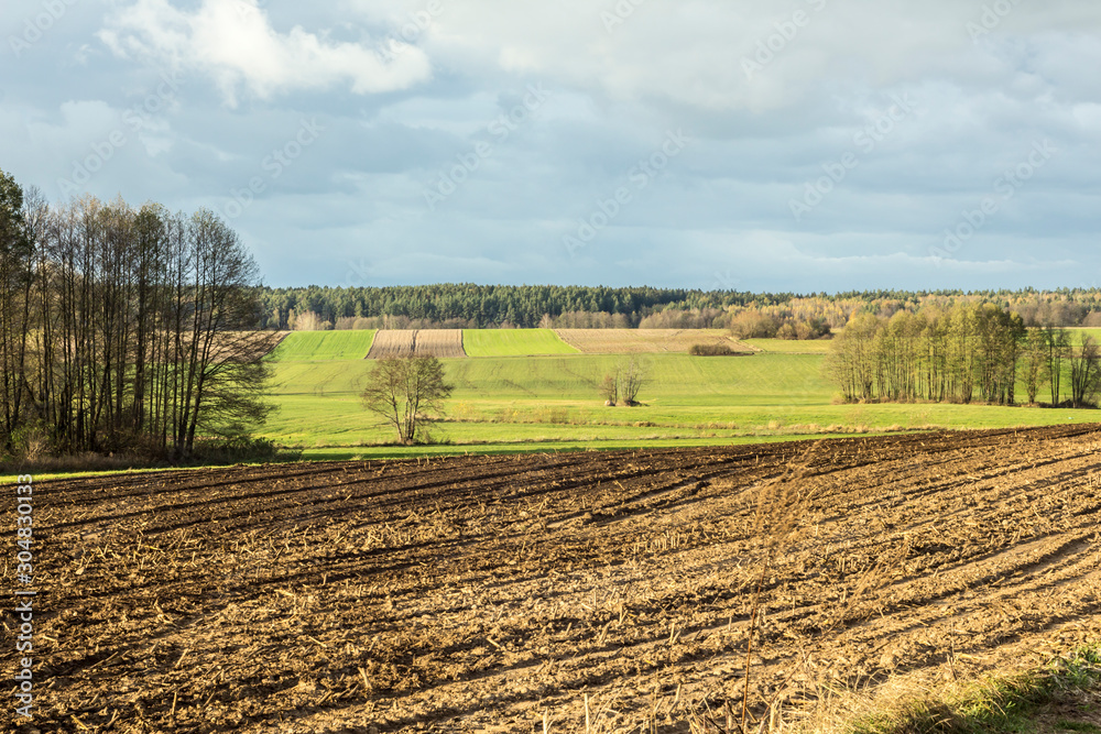 Late autumn. Large plowed field.  Meadows, cultivated fields and forest in the background.  Dairy farm. Podlasie, Poland.