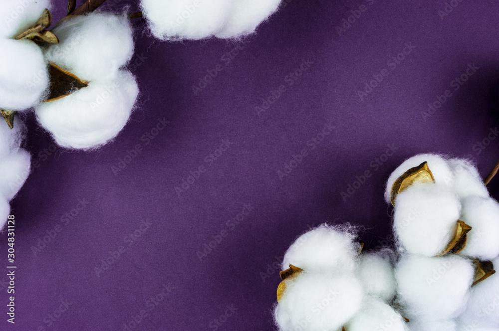 Natural cotton on the table with leaves. Background for your object Natural cotton on the table with leaves. Background for your object