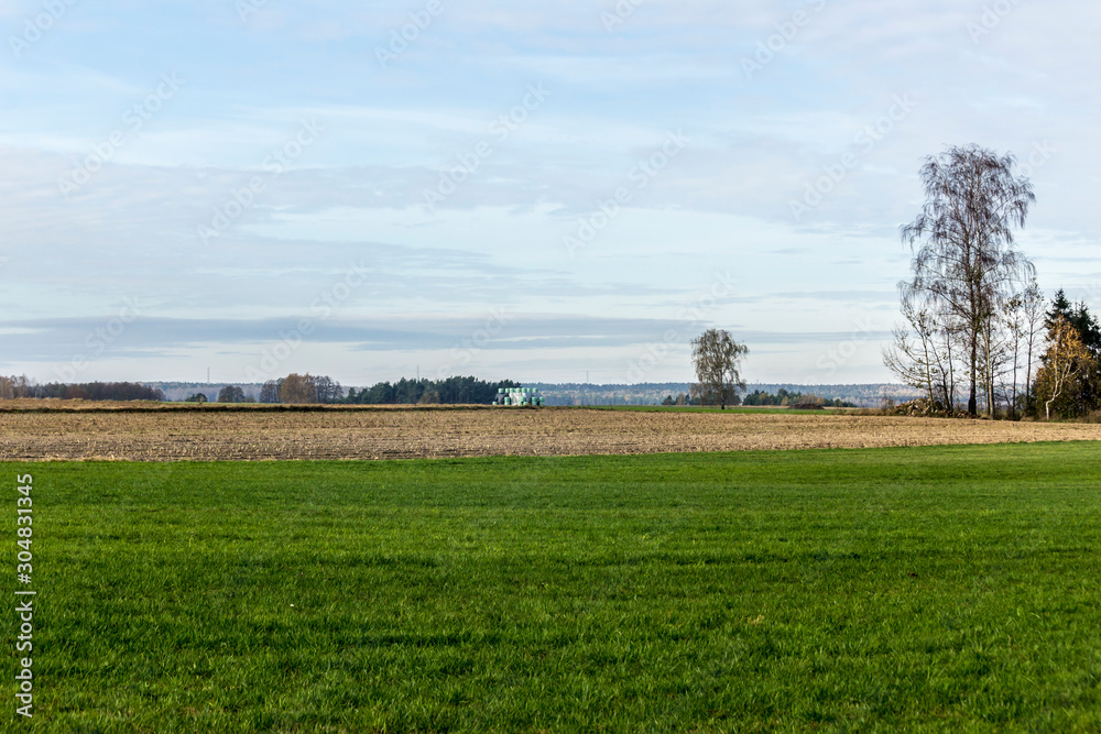 Late autumn. Green meadows for cows and fields separated by boundary furrows. Forest and tree in the background. Dairy farm. Podlasie, Poland.
