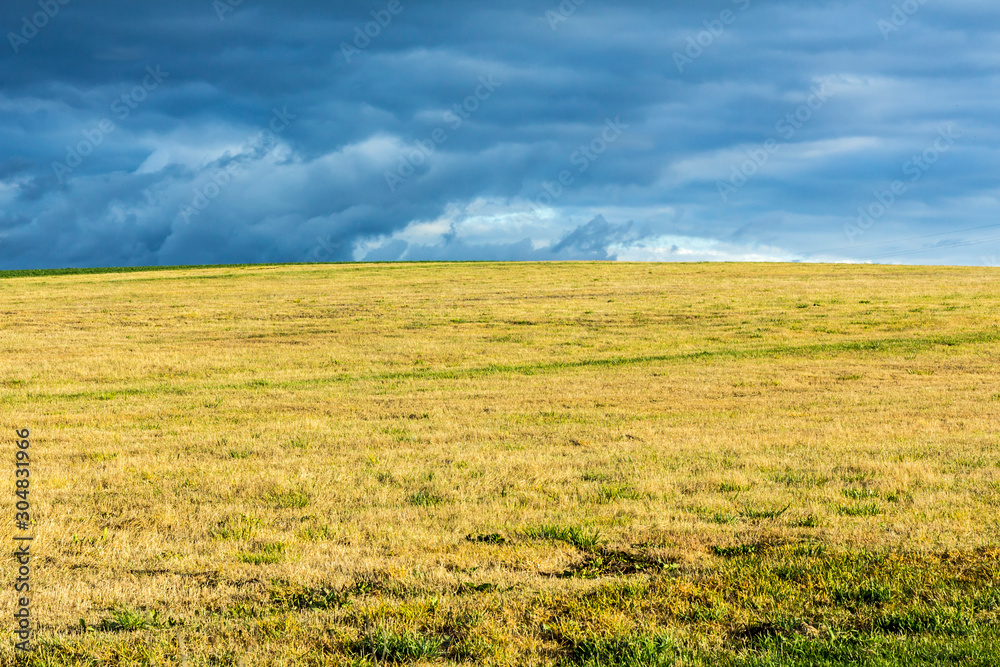 Late autumn. Yellow field on the hill. The dark evening sky in the background. Dairy farm. Podlasie, Poland. Late autumn. Yellow field on the hill. The dark evening sky in the background. Dairy farm. Podlasie, Poland.