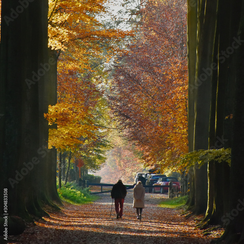 Entrance of the Geographical Arboretum, part of the Zoniënwoud, in Tervuren, Belgium     photo