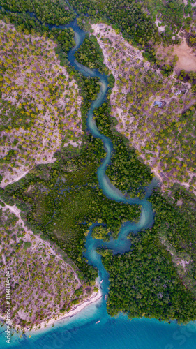 mangroove swamp at Kanga beach, mafia island photo