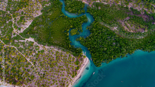 mangroove swamp at Kanga beach, mafia island photo