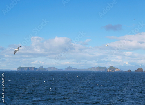 Vestmannaeyjar or Westman Islands  a chain of volcanic islands south of Iceland