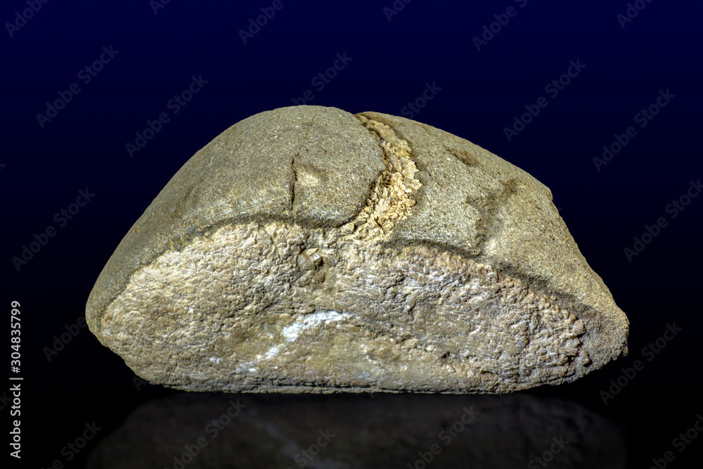Unusual decorative stone like bread on the dark background - close up Unusual decorative stone like bread on the dark background - close up