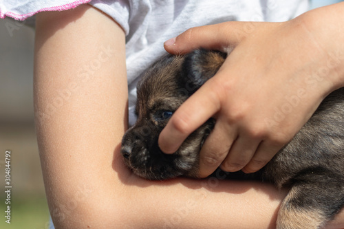 little girl holding a little puppy in her arms. close-up.