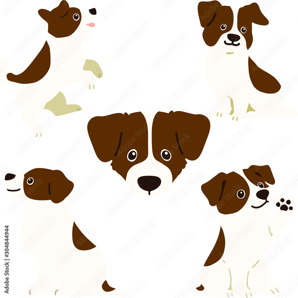 set of Jack Russell Terrier puppy flat colored