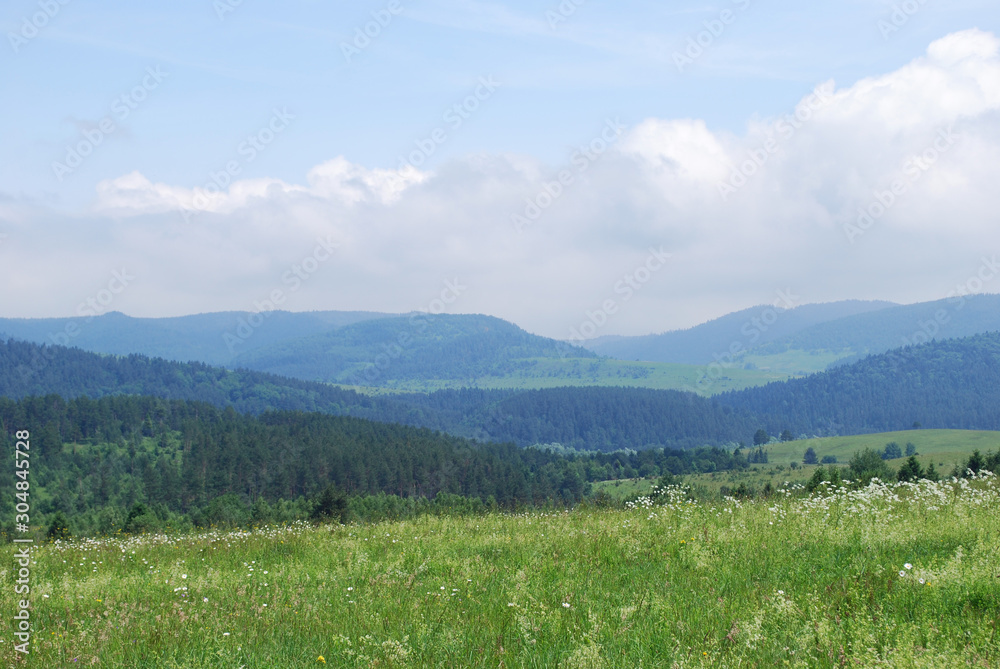 summer landscape of the Carpathian mountains