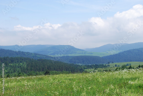  summer landscape of the Carpathian mountains © svetlana177